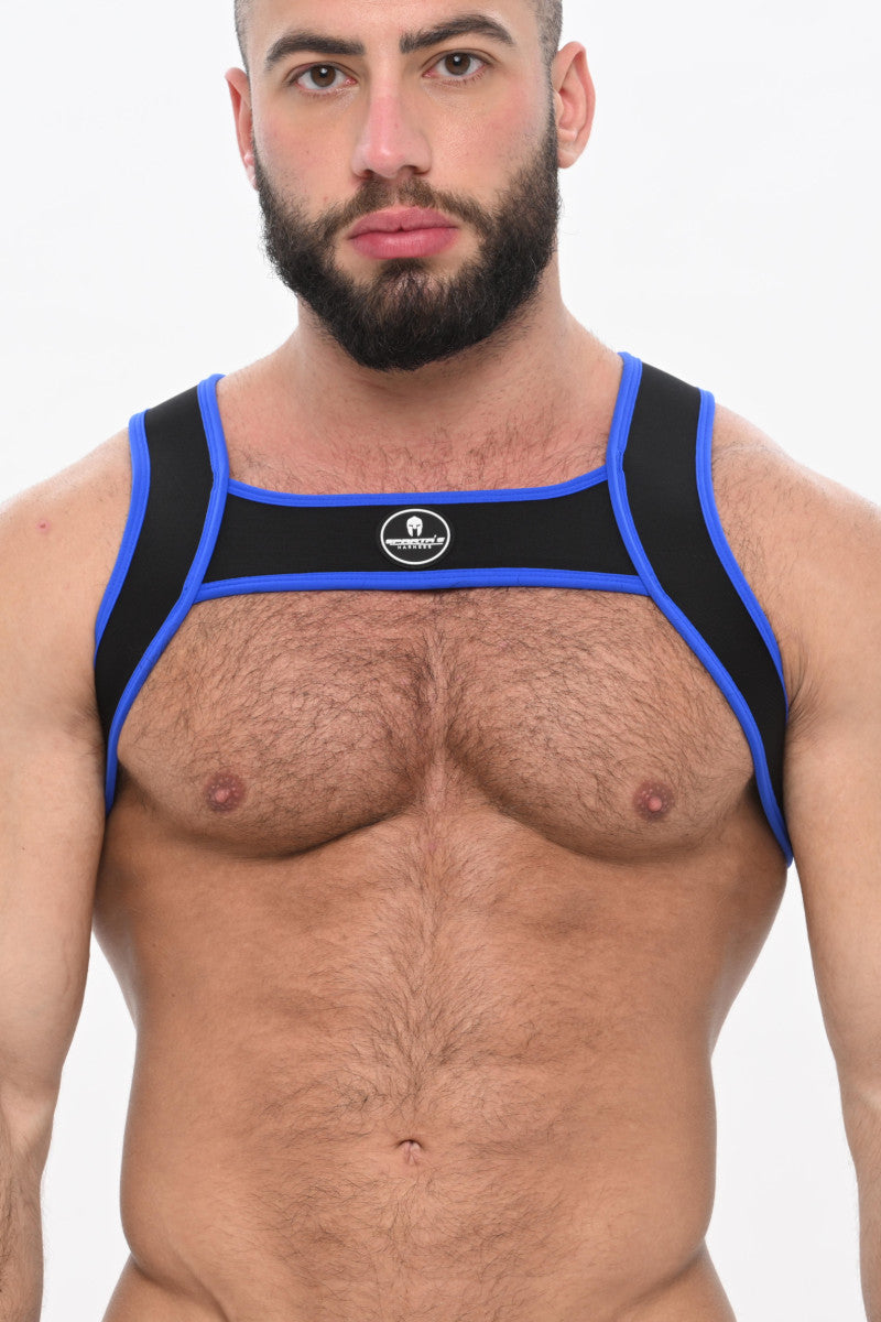 ZEUS HARNESS