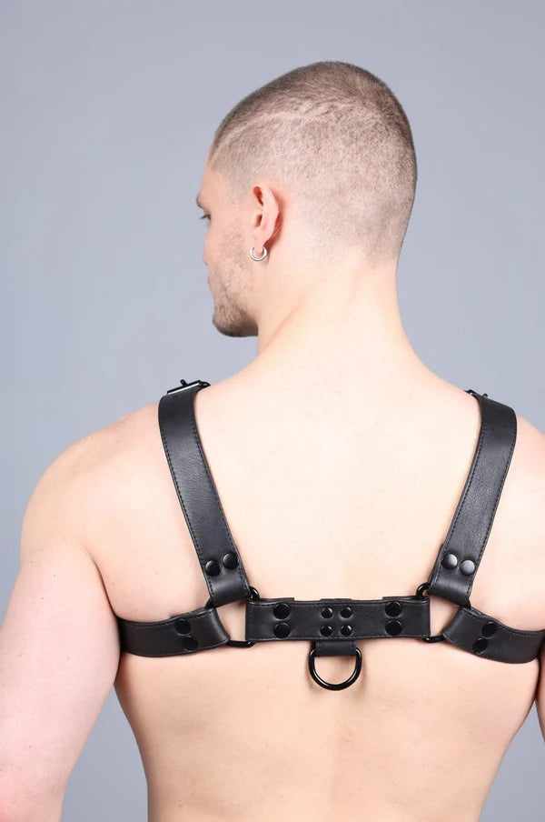 LEATHER HARNESS - FULL BLACK