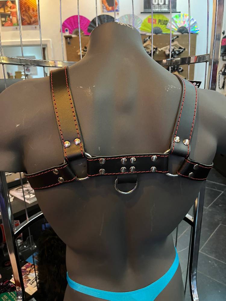 LEATHER HARNESS - BLACK/RED