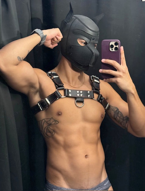 4 - Puppy Play