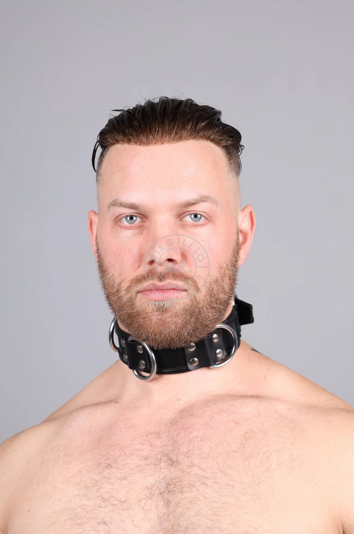 BLACK LEATHER COLLAR 4/D RINGS - FULL BLACK