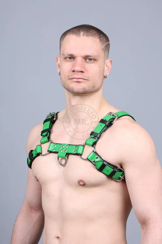 LEATHER HARNESS - PARROT GREEN