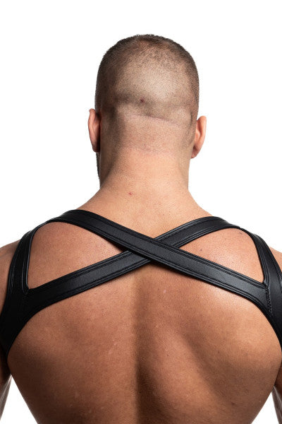 NEO HARNESS ICARO