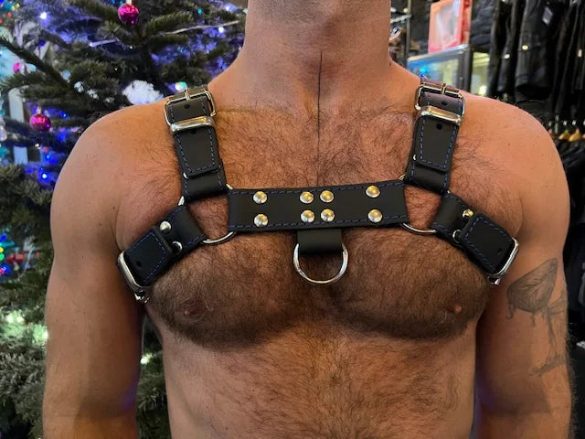 Black/Blue Harness