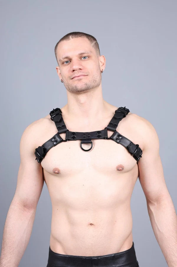 LEATHER HARNESS - FULL BLACK