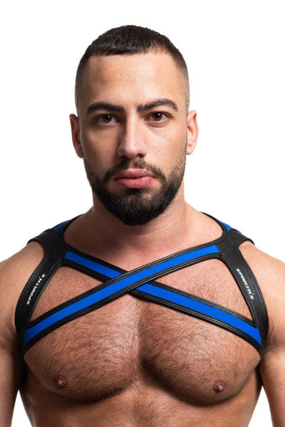 NEO HARNESS ICARO