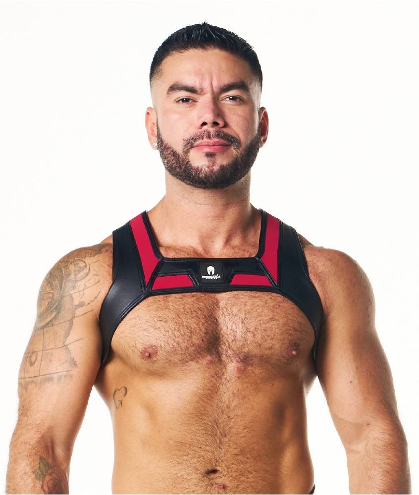 PEGASUS NEO HARNESS