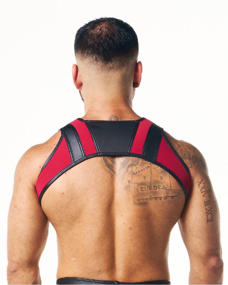 PEGASUS NEO HARNESS