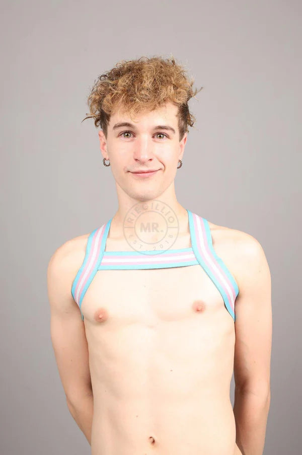 ELASTIC HARNESS - TRANSGENDER FLAG