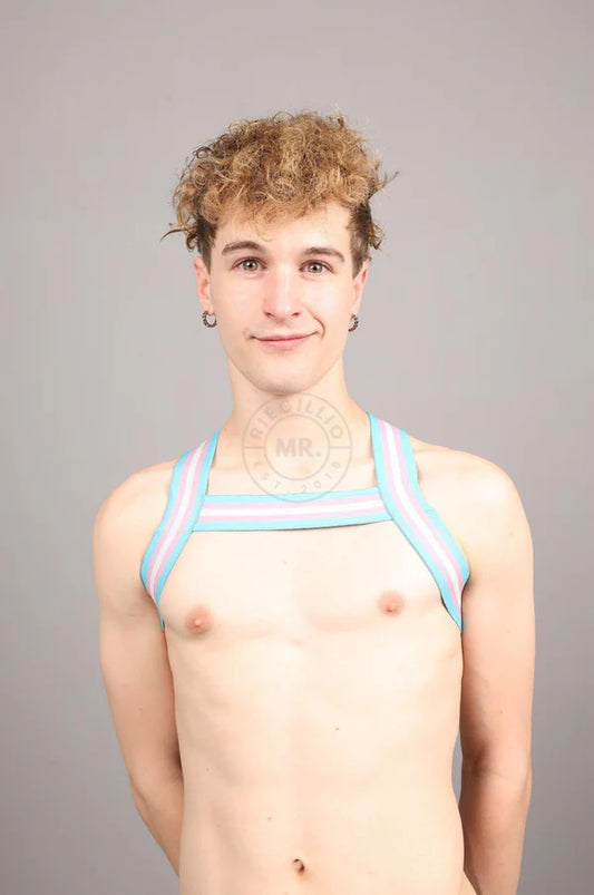 ELASTIC HARNESS - TRANSGENDER FLAG