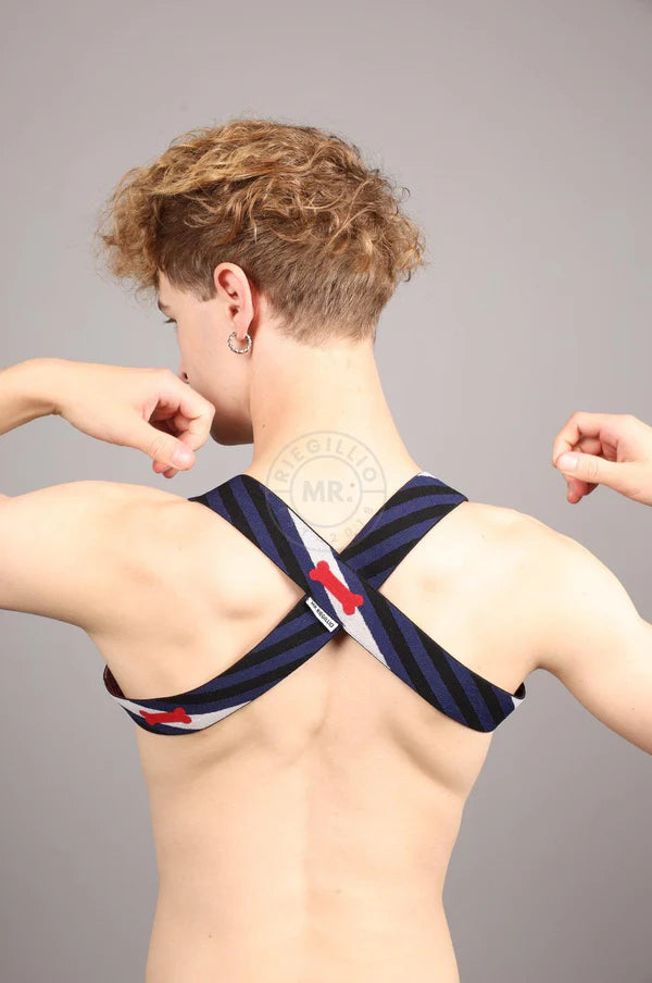 ELASTIC HARNESS - PUPPY FLAG