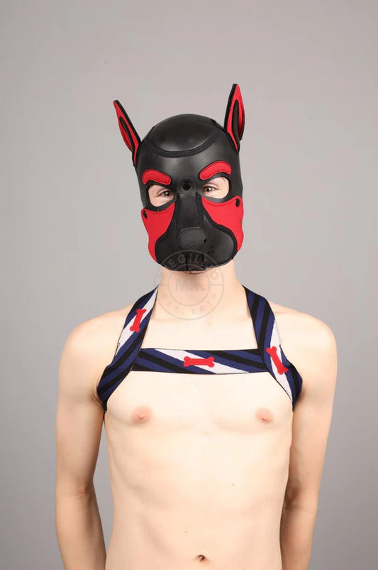 ELASTIC HARNESS - PUPPY FLAG