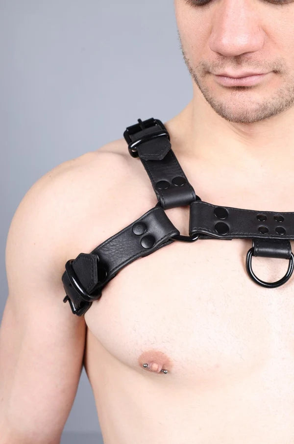 LEATHER HARNESS - FULL BLACK