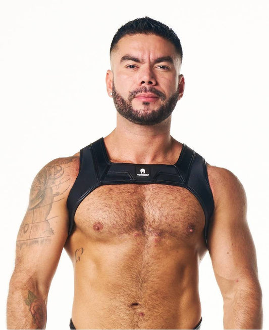 PEGASUS NEO HARNESS