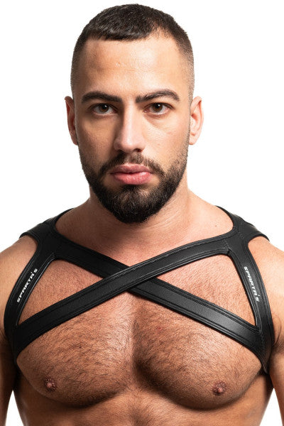 NEO HARNESS ICARO
