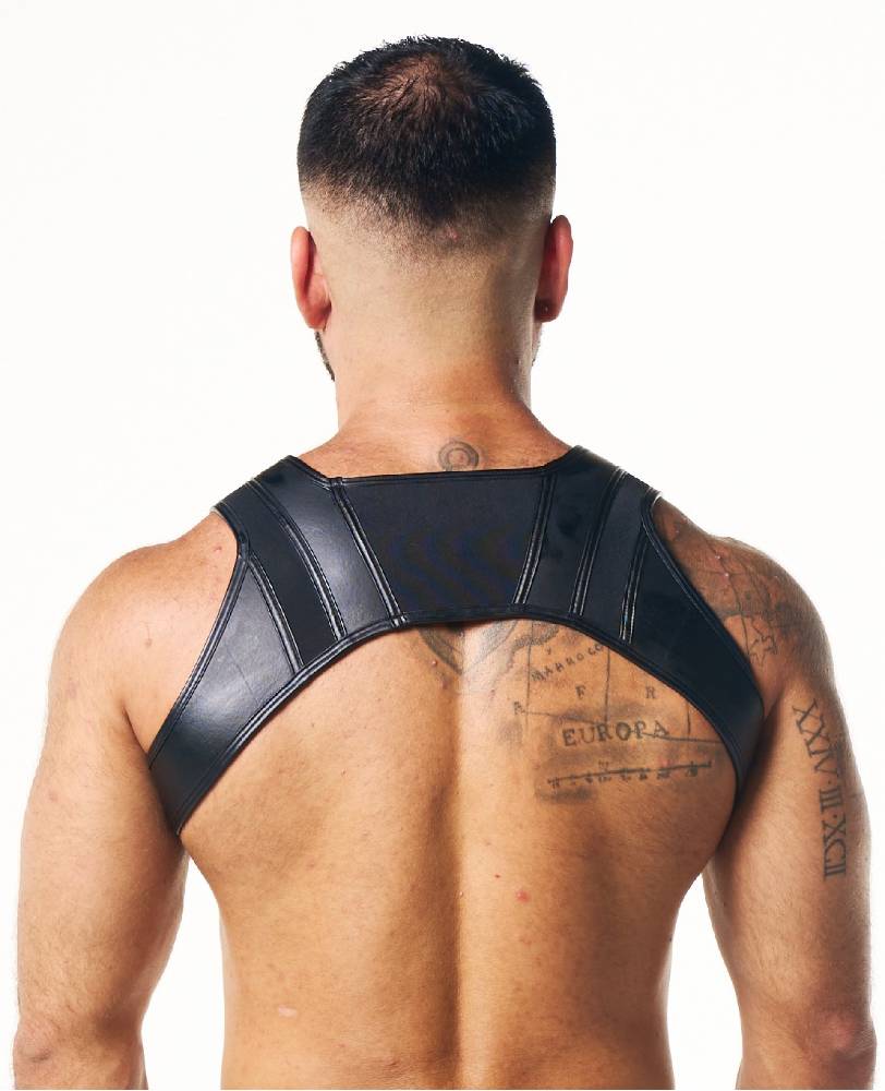 PEGASUS NEO HARNESS