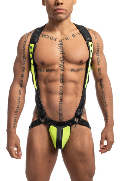 MYNOTAURO FULL HARNESS