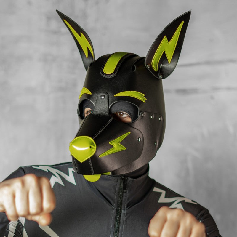 X3 PUP HOOD - BLACK/LIME